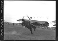 Gene Pruett on Twelve Bells