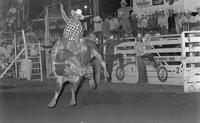 Lane Frost on Bull #15X