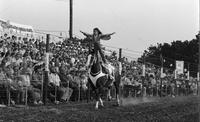 Unidentified Trick rider