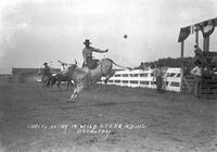 Curley Avery in Wild Steer Riding