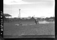 Buck Sorrells Calf Roping