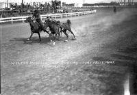 Walter Heacock Bulldogging Great Falls, Mont.