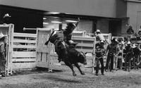 Dale Stowe on Jet Line