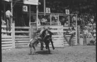 Gary Toole on Bull #171