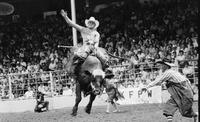 Cody Snyder on Bull #3