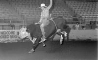 Joe Winberry on Bull #19