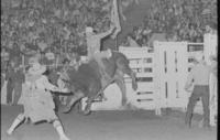 Brent Hanks on Bull #13