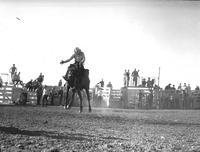[Unidentified Cowboy riding arched-backed bronc who is airborne]