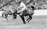 Unidentified rider on unknown Bronc