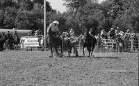 Rod Staudinger Steer wrestling