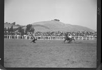 Vern Castro Calf Roping on Red (no time)