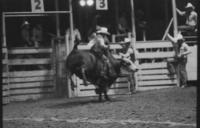 Bob Welch on Bull # -11