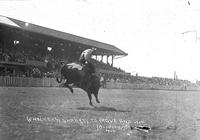 (Checkers) Sharkey to Move and Win, Frontier Days, Cheyenne