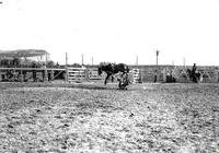 [Unidentified Cowboy in the dirt on his back off airborne bronc]