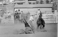 J.D. Tadlock Calf roping