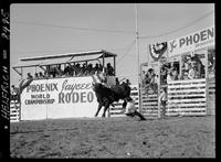 Dick Cronquist off #120