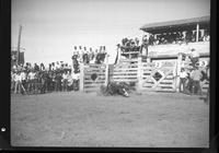 Bob Olson down on Bronc.