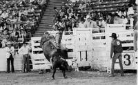Tiger Barker on Jumping Jack