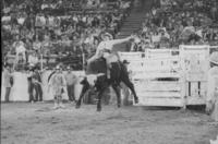Gary Gault on Boomerang