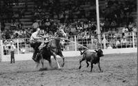 Ricky Sutton Calf roping