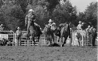 Olie Smith Steer wrestling