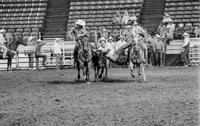 Jay Domer Steer wrestling