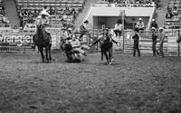 Jerry Frank Steer wrestling