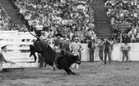 Phil Fournier on Ram Charger