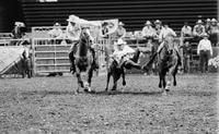 John W. Jones Steer wrestling