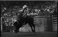Mike Bandy on Bull #33
