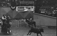 Larry Ferguson Calf roping