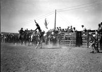 [Unidentified Cowboy riding Bronc who appears to be doing a front hooves stand, rear legs up & out]