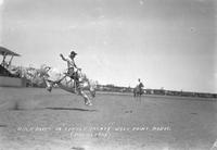 Buck Davis on "Little Money" Wolf Point Rodeo