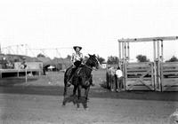 [Unidentified cowgirl contestant with sash on horses near chutes]