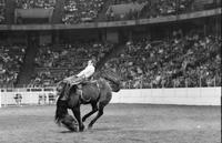 Gordon Griffith on Ridge Runner