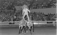 Rodeo clown Bill McEnaney Specialty act