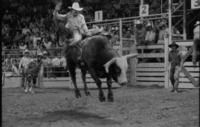 Jay Pierce on Bull #777