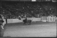 Rodeo clown Leon Coffee Bull fighting