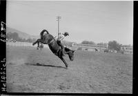 Jim Trow on High Mountain