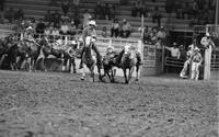 Rick Bradley Steer wrestling