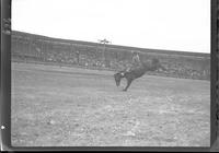 Jim Egan on Bear valley