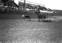 Roy Cox Roping Calf Buffalo Rodeo