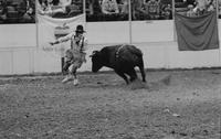 Rodeo clown Dwayne Hargo Bull fighting