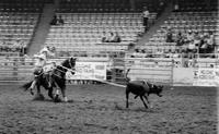 Mike Arnold Calf roping