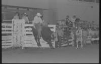 Lyle Sankey on Mr. Ed