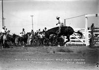 Walter Cravens riding wild Mule Duncan Okla. Rodeo