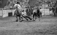 Steve Duhon Steer wrestling