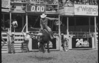 Robt. Mitchell on Bull #3