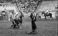 Mitch Coops Calf roping