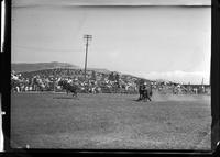 Leo Thorne Calf Roping